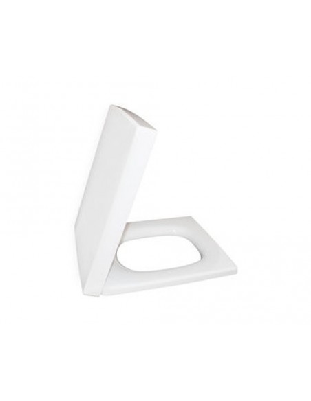 Siège blanc Jacob Delafon Terrace E70019-00 avec descente progressive