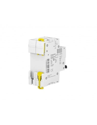Disjoncteur Schneider Acti9 iC60N 2P courbe C 6000A/10kA