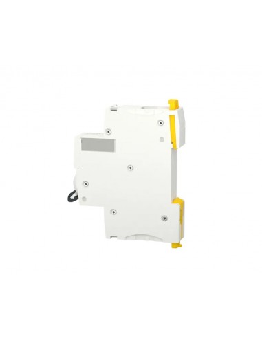 Disjoncteur Schneider 1P 2A 100kA A9F92102