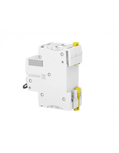 Disjoncteur Schneider Acti9 iC60N 2P 16A courbe en D A9F75216