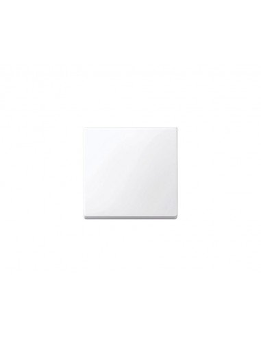 Schneider MTN432125 Clé unique blanche Serie Elegance