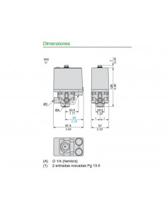 Pressostat Schneider XMAV25L2135 2
