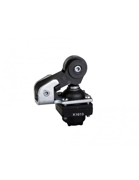 Interrupteur de fin de course à galet et à came Schneider en plastique ZCKD21 Interrupteur de fin de course à galet et à came Schneider en plastique ZCKD21