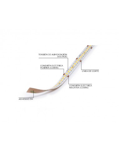 Tira Led  de 5 metros 24V IP20 de Ecolux