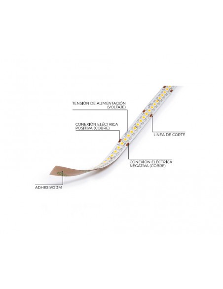 Tira Led  de 5 metros 24V IP20 de Ecolux Tira Led  de 5 metros 24V IP20 de Ecolux